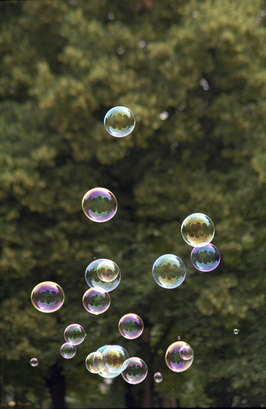 Prepare to Be Amazed: The Gazillion Bubble Show Pops into&nbsp;NYC!